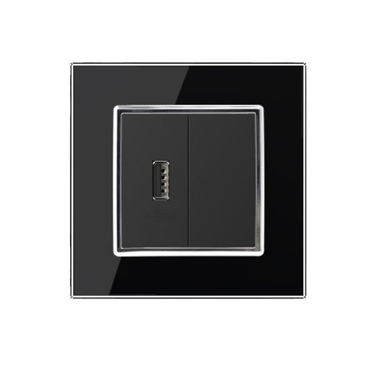 Livolo einfaches, schwarzes USB-Modul mit Glasrahmen