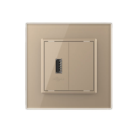 Livolo einfaches, goldenes USB-Modul mit Glasrahmen