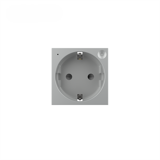 Livolo smartes EC Steckdosen-Modul in Grau