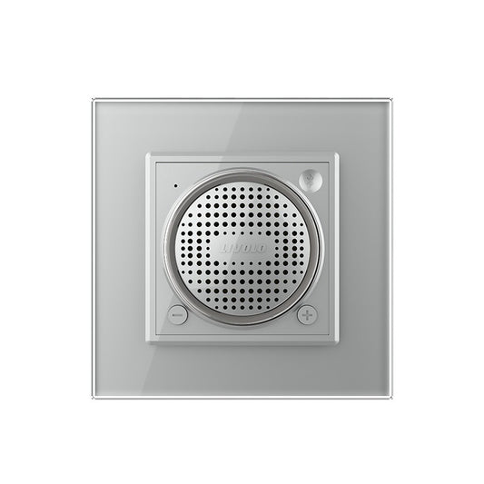 Livolo Bluetooth Lautsprecher mit Glasrahmen in Grau.