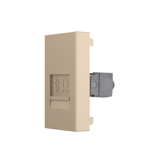 Livolo zweifaches, goldenes LAN-Modul CAT8