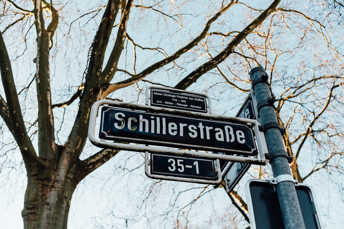 A street sign on a pole next to a tree