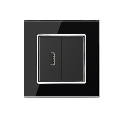 Livolo einfaches, schwarzes USB-Modul mit Glasrahmen