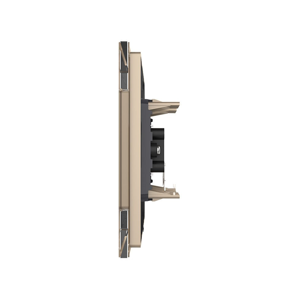 Livolo einfaches, goldenes Audio-Modul mit Glasrahmen