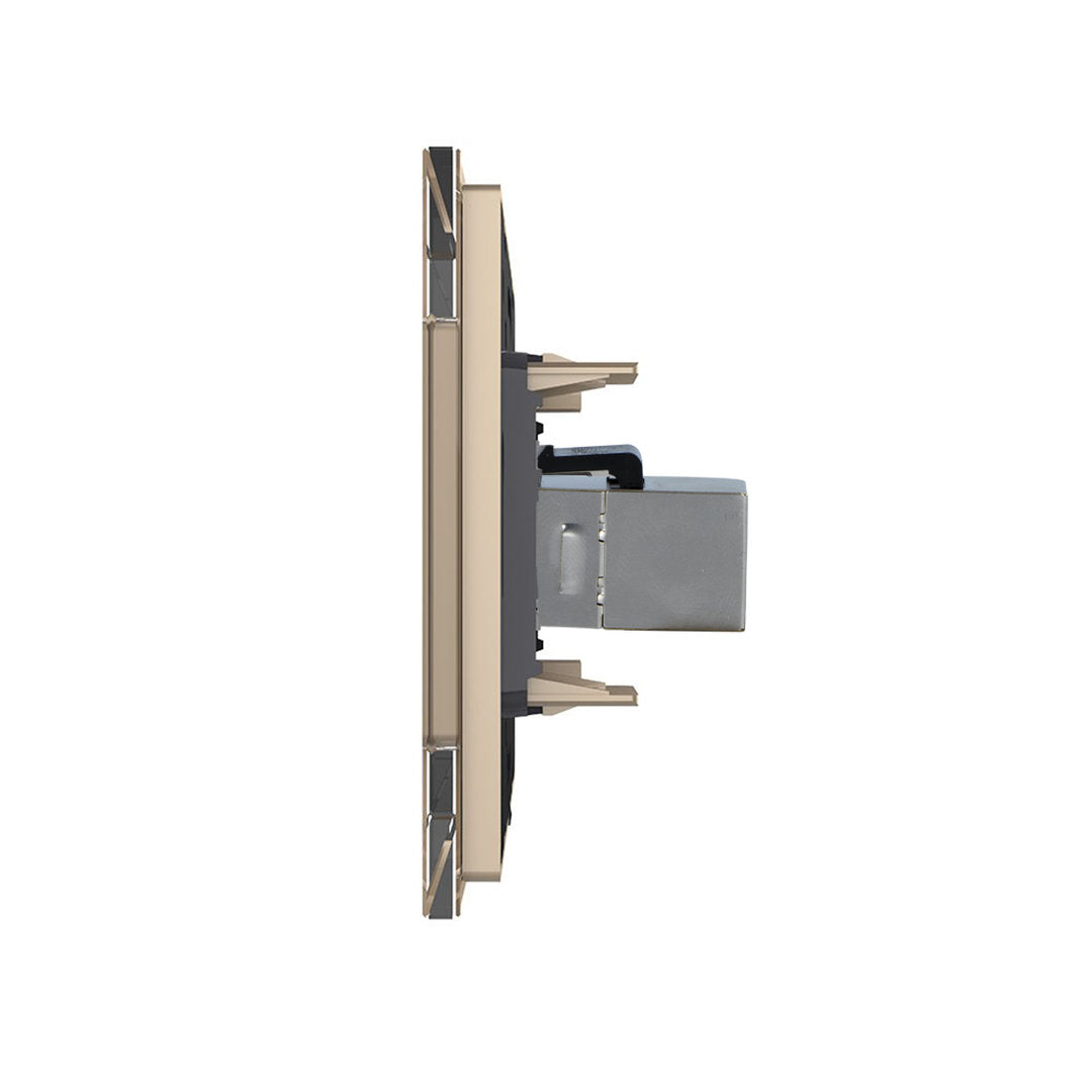 Livolo zweifaches, goldenes LAN-Modul mit Glasrahmen
