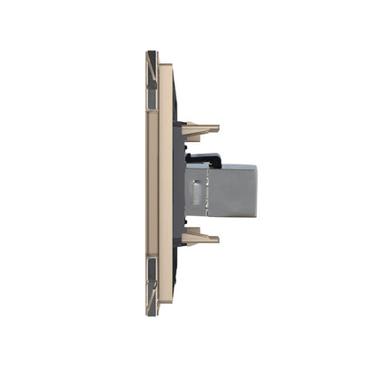 Livolo zweifaches, goldenes LAN-Modul mit Glasrahmen