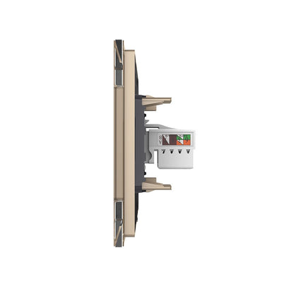 Livolo einfaches, goldenes LAN-Modul mit Glasrahmen
