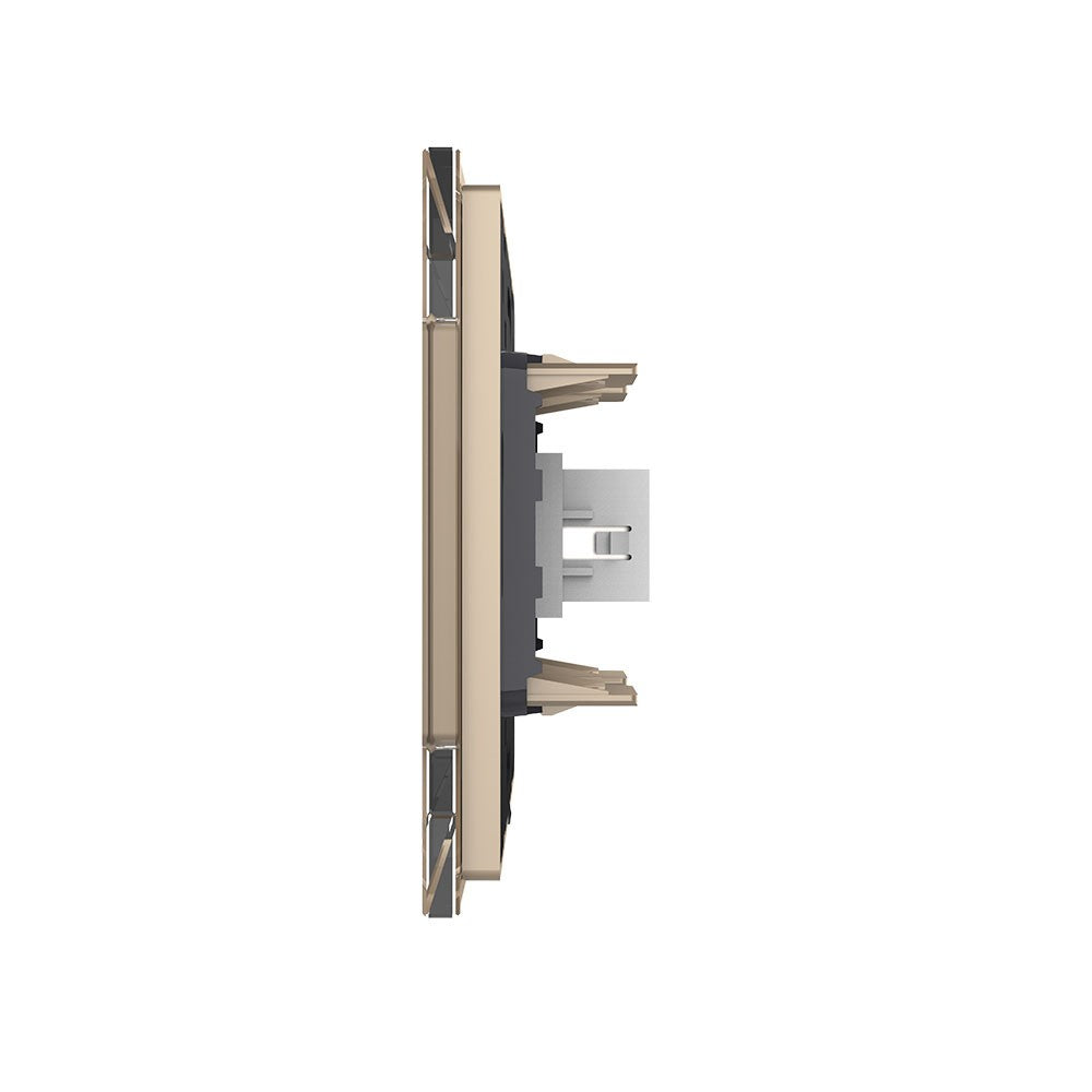 Livolo einfaches, goldenes HDMI-Modul mit Glasrahmen