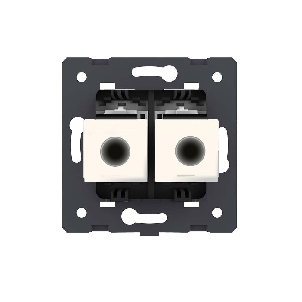 Livolo zweifaches, graues LAN-Modul CAT8 End-Dose