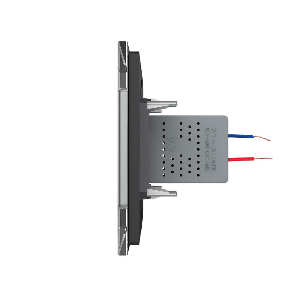 Livolo einfaches, graues USB-Modul mit Glasrahmen