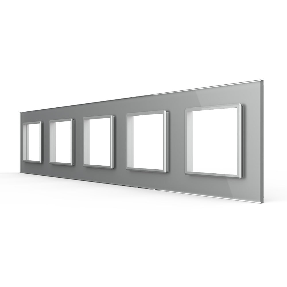 LIVOLO Glasrahmen für Wandsteckdosen in Glas Grau