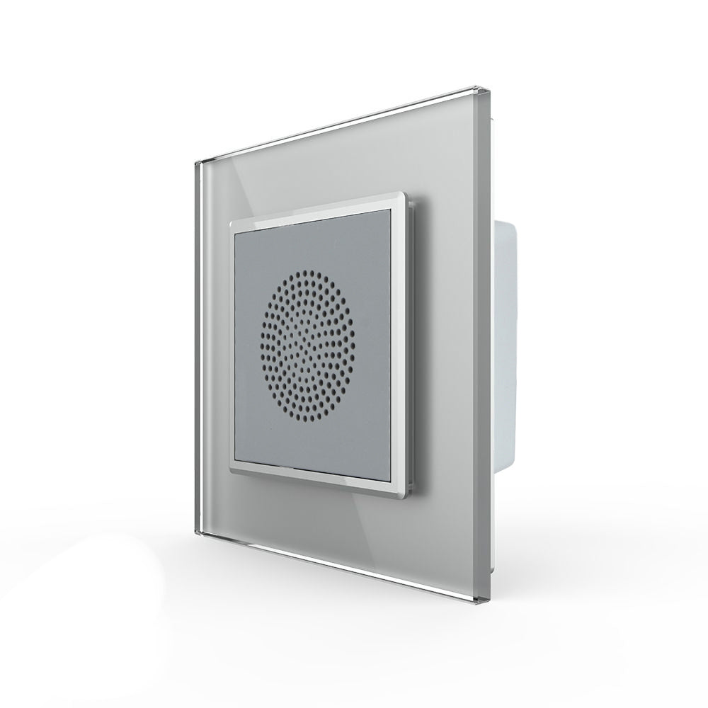 Livolo Bluetooth-Lautsprecher mit Glasblende in Grau