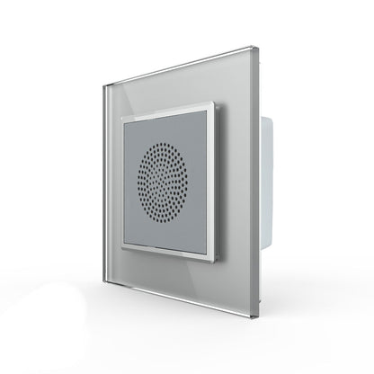 Livolo Bluetooth-Lautsprecher mit Glasblende in Grau