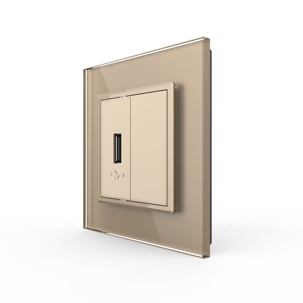 Livolo einfaches, goldenes USB-Modul mit Glasrahmen
