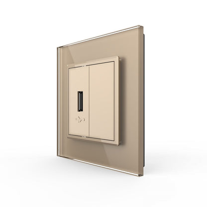 Livolo einfaches, goldenes USB-Modul mit Glasrahmen