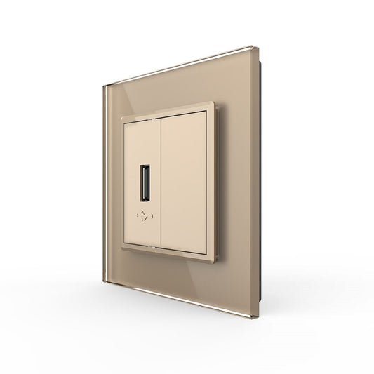 Livolo einfaches, goldenes USB-Modul mit Glasrahmen