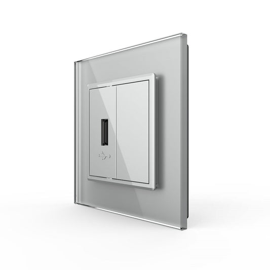 Livolo einfaches, graues USB-Modul mit Glasrahmen