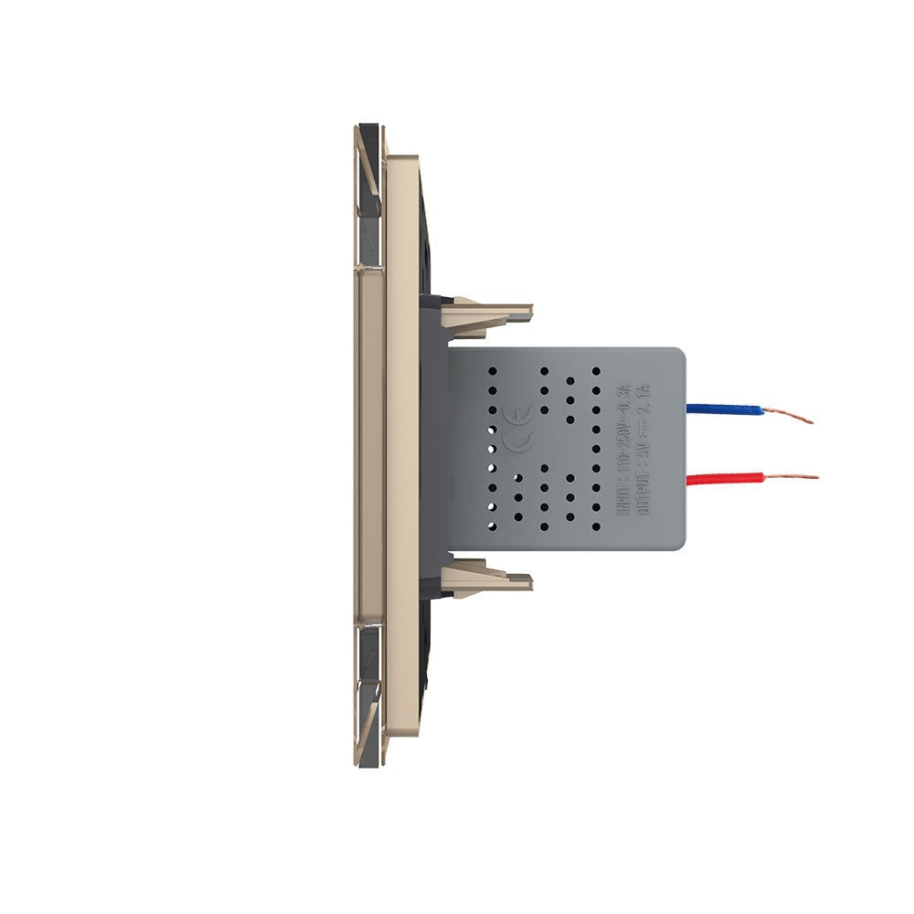 Livolo einfaches, goldenes USB-Modul mit Glasrahmen
