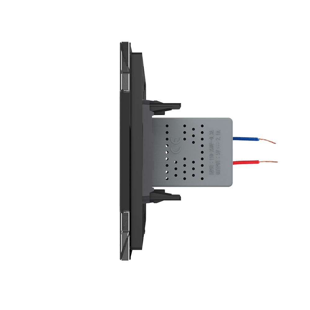 Livolo einfaches, schwarzes USB-Modul mit Glasrahmen