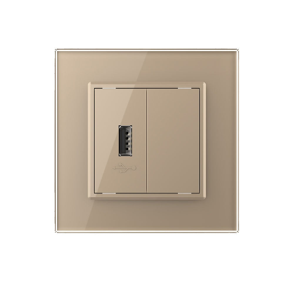 Livolo einfaches, goldenes USB-Modul mit Glasrahmen