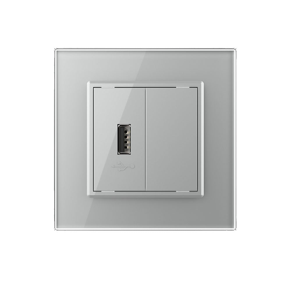 Livolo einfaches, graues USB-Modul mit Glasrahmen