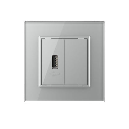 Livolo einfaches, graues USB-Modul mit Glasrahmen