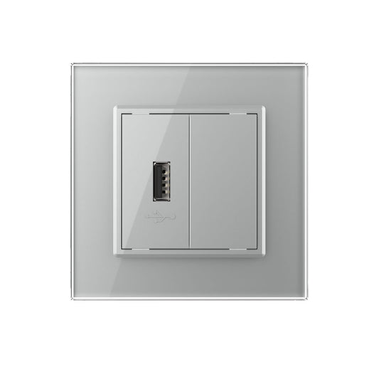 Livolo einfaches, graues USB-Modul mit Glasrahmen