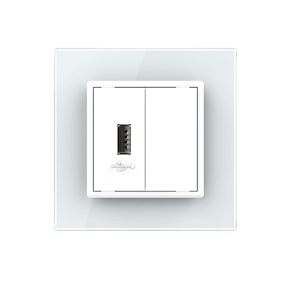 Livolo zweifaches, weißes USB-Modul zum Aufladen mit Glasrahmen