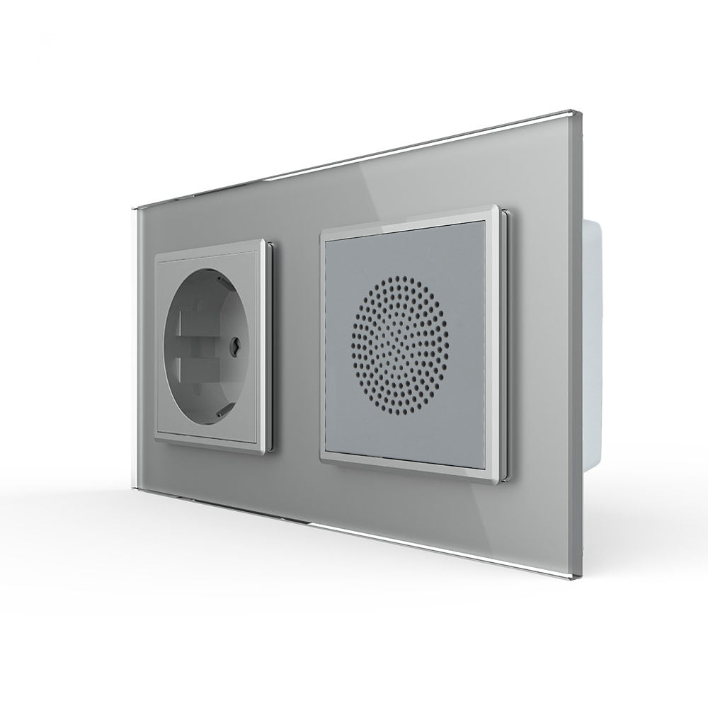 Livolo Steckdose und Lautsprecher mit Glasblende in Grau