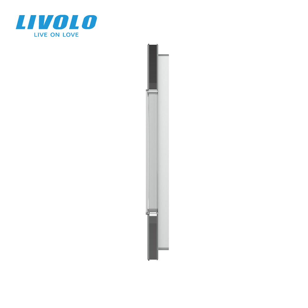 Glasrahmen in Grau für LIVOLO Steckdosen