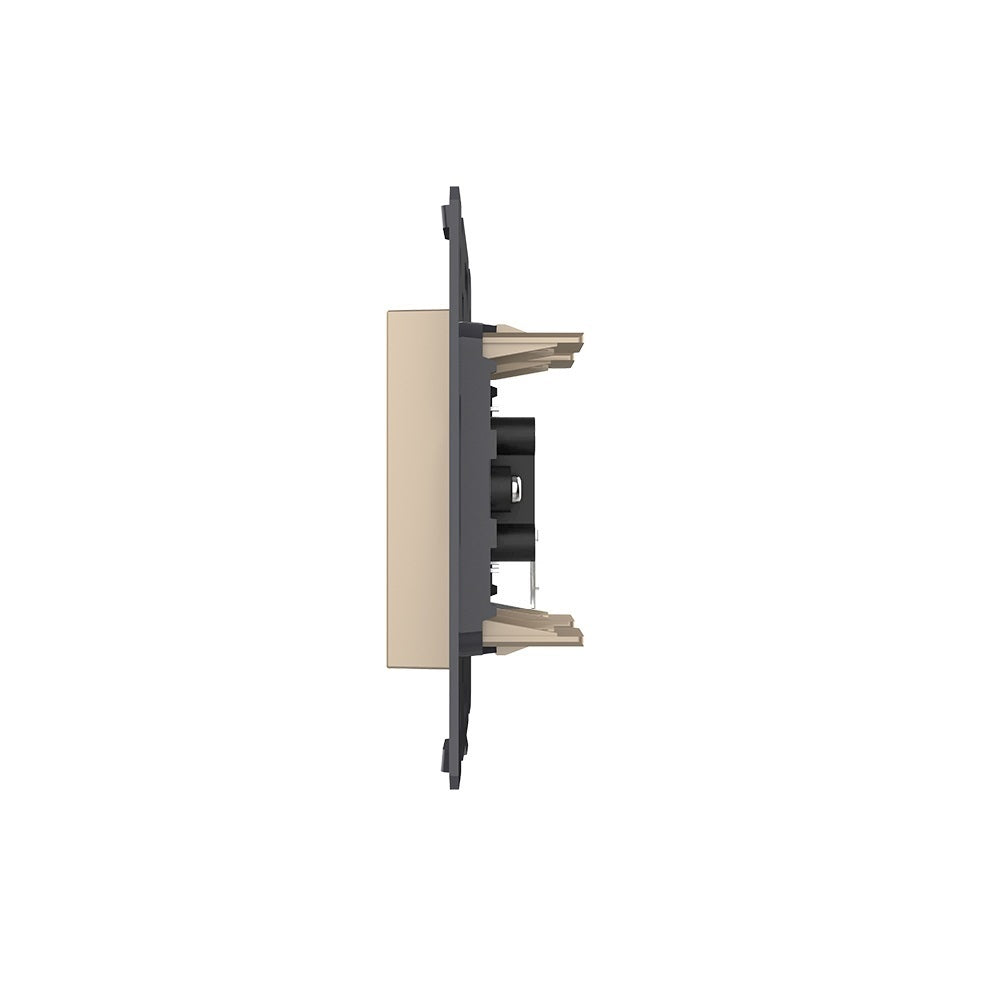 Livolo Audio-Modul für Cinch Stecker in Gold