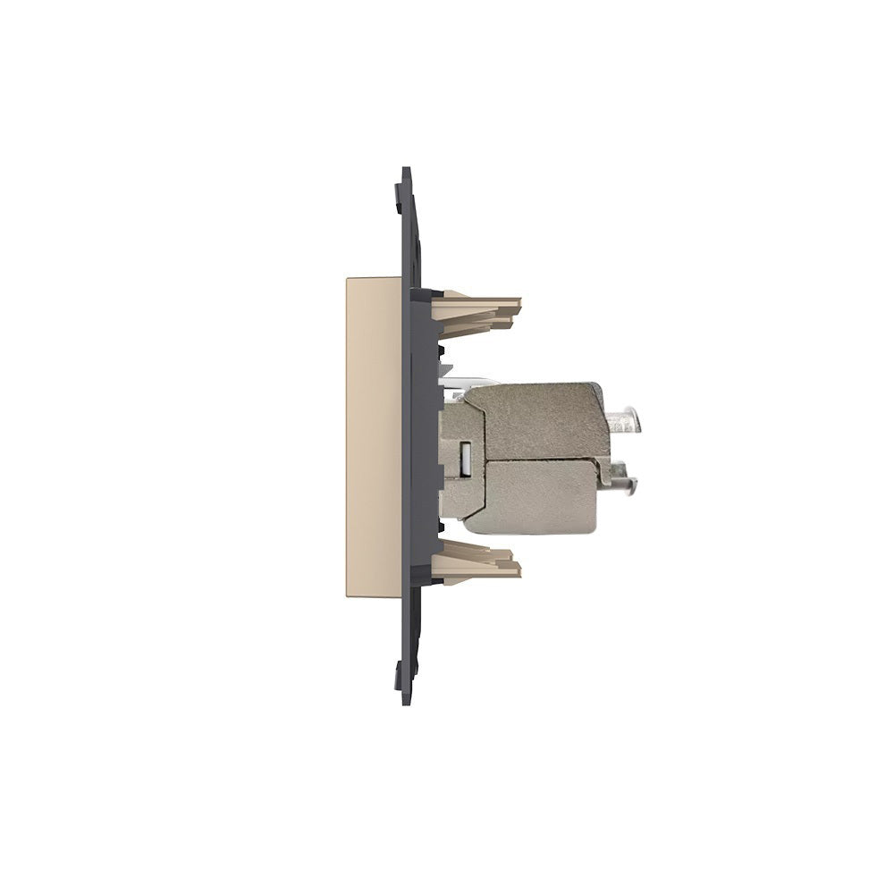 Livolo einfaches LAN-Modul CAT6A in gold