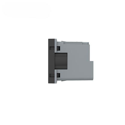 Livolo smartes EC Steckdosen-Modul in Schwarz