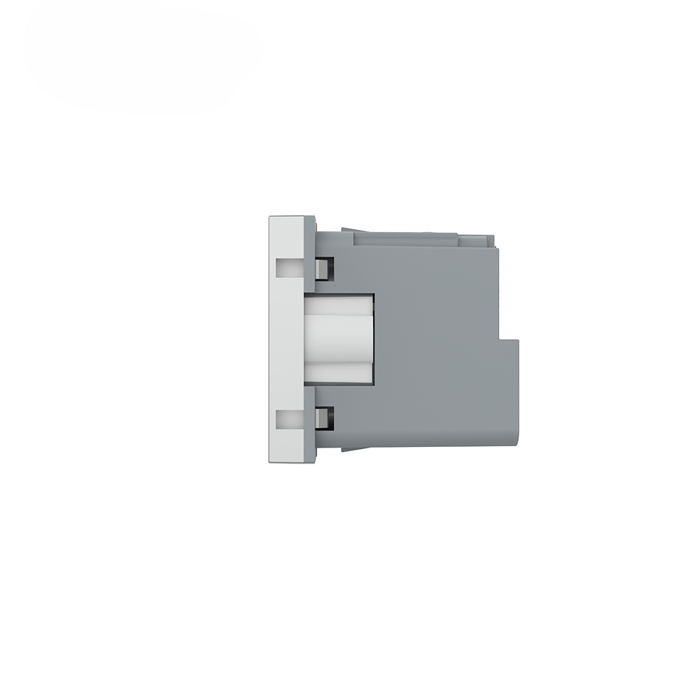 Livolo smartes EC Steckdosen-Modul in Grau