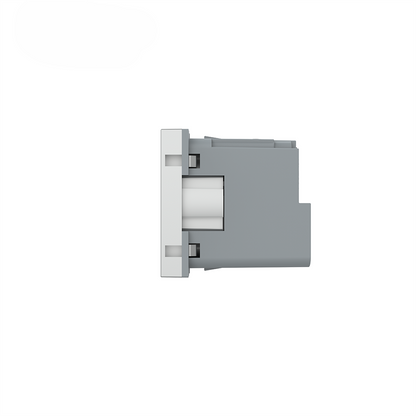 Livolo smartes EC Steckdosen-Modul in Grau