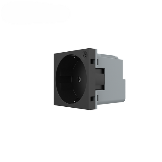 Livolo smartes EC Steckdosen-Modul in Schwarz