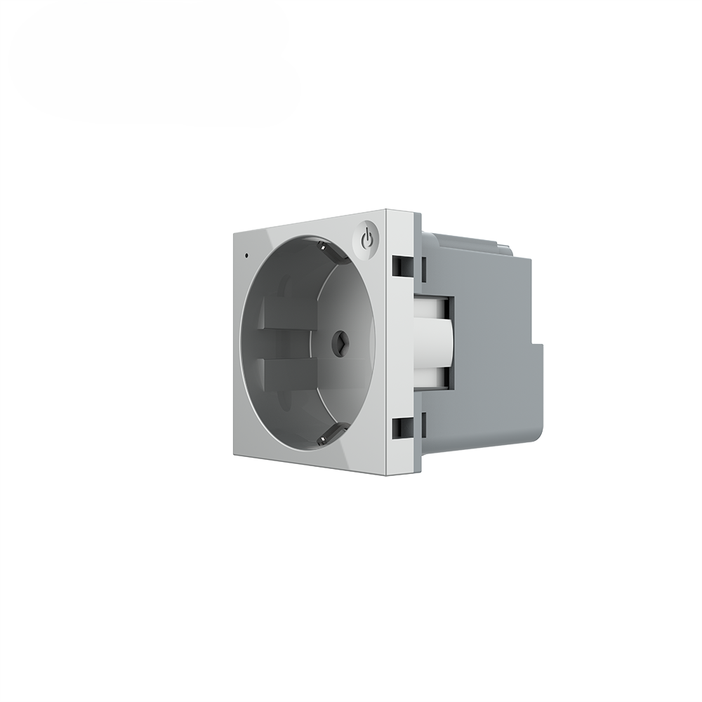 Livolo smartes EC Steckdosen-Modul in Grau