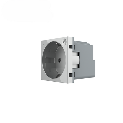 Livolo smartes EC Steckdosen-Modul in Grau