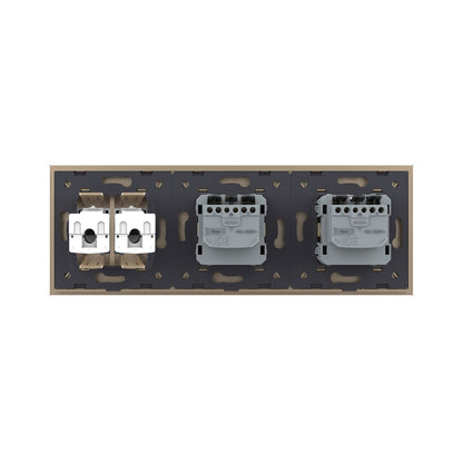 Livolo 2 Steckdosen und 2 Netzwerk-Module inkl. Glasblende in Gold