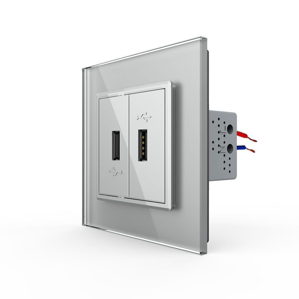 Livolo zweifaches USB-Modul mit Glasblende in Grau