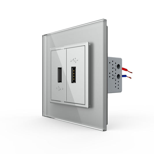 Livolo zweifaches USB-Modul mit Glasblende in Grau