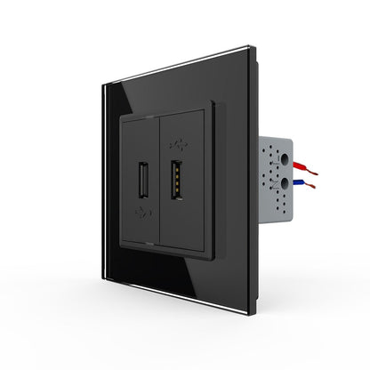 Zweifaches, schwarzes USB-Modul m. Glasblende