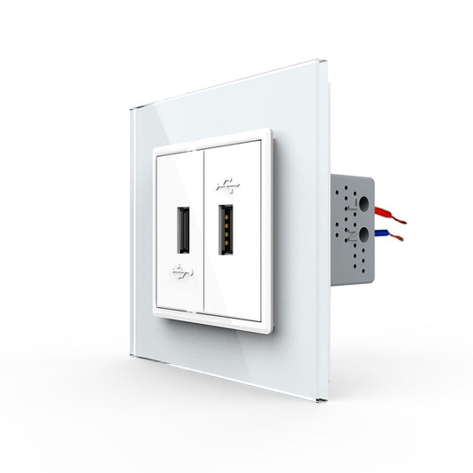 Livolo zweifaches USB-Modul zum Aufladen von Geräten mit Glasblende