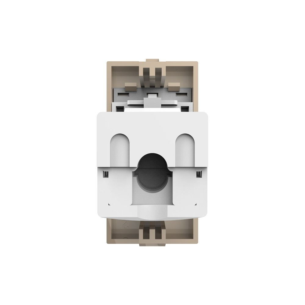 Livolo halbes, goldenes LAN-Modul