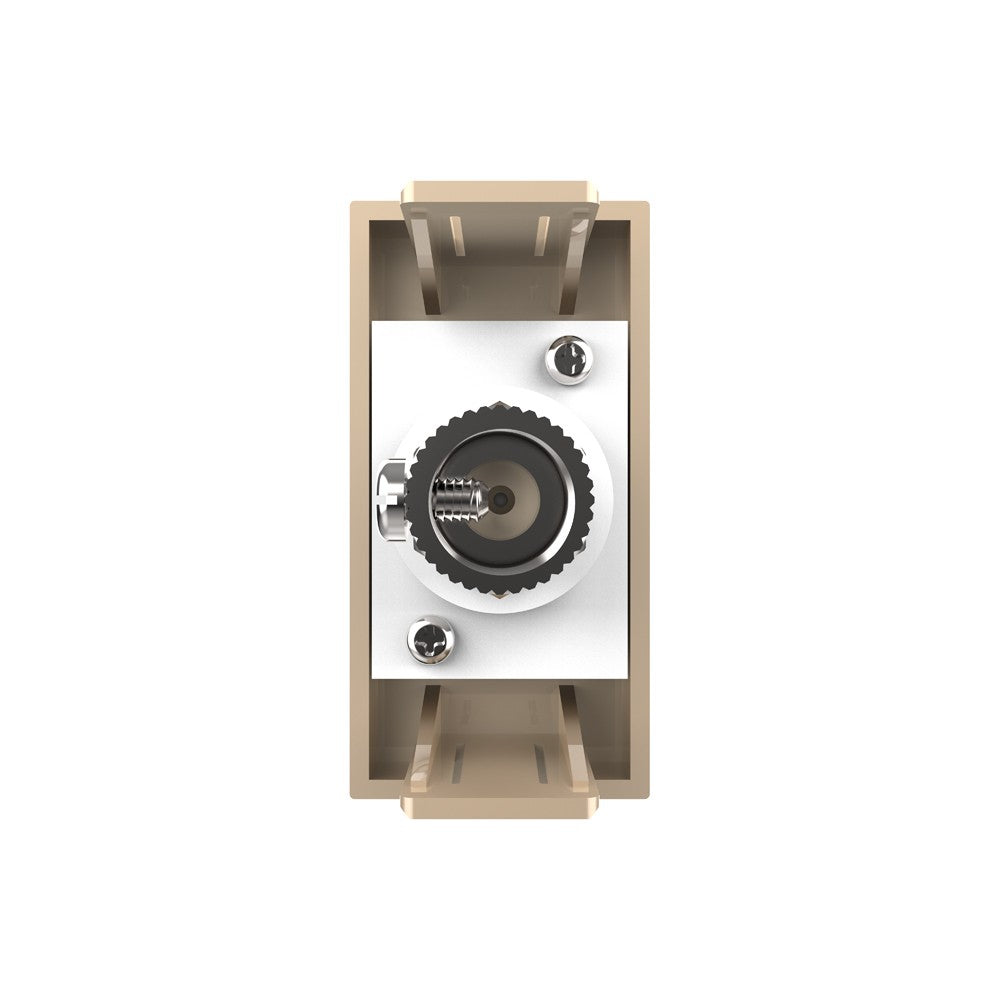 Livolo halbes, goldenes TV-Modul