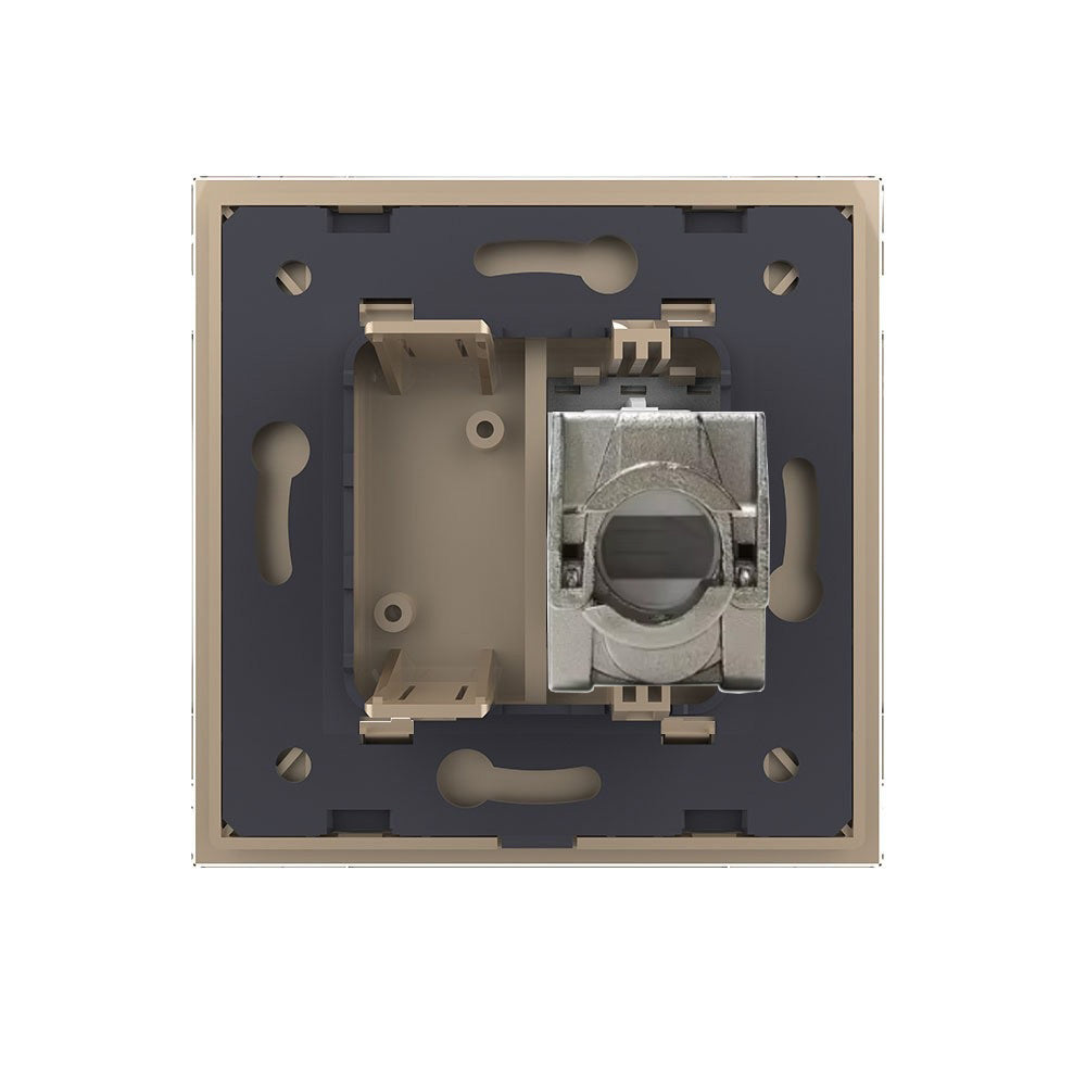 Einfaches LAN-Modul CAT6A RJ45 mit goldenem Glasrahmen
