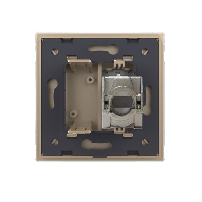 Einfaches LAN-Modul CAT6A RJ45 mit goldenem Glasrahmen
