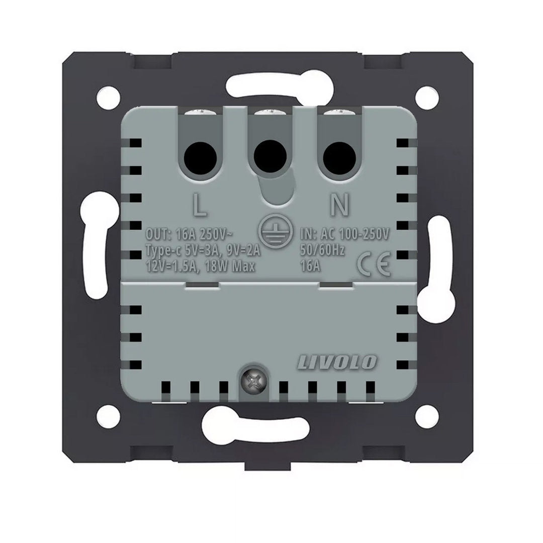 Livolo graues Steckdosen-Modul mit USB-C