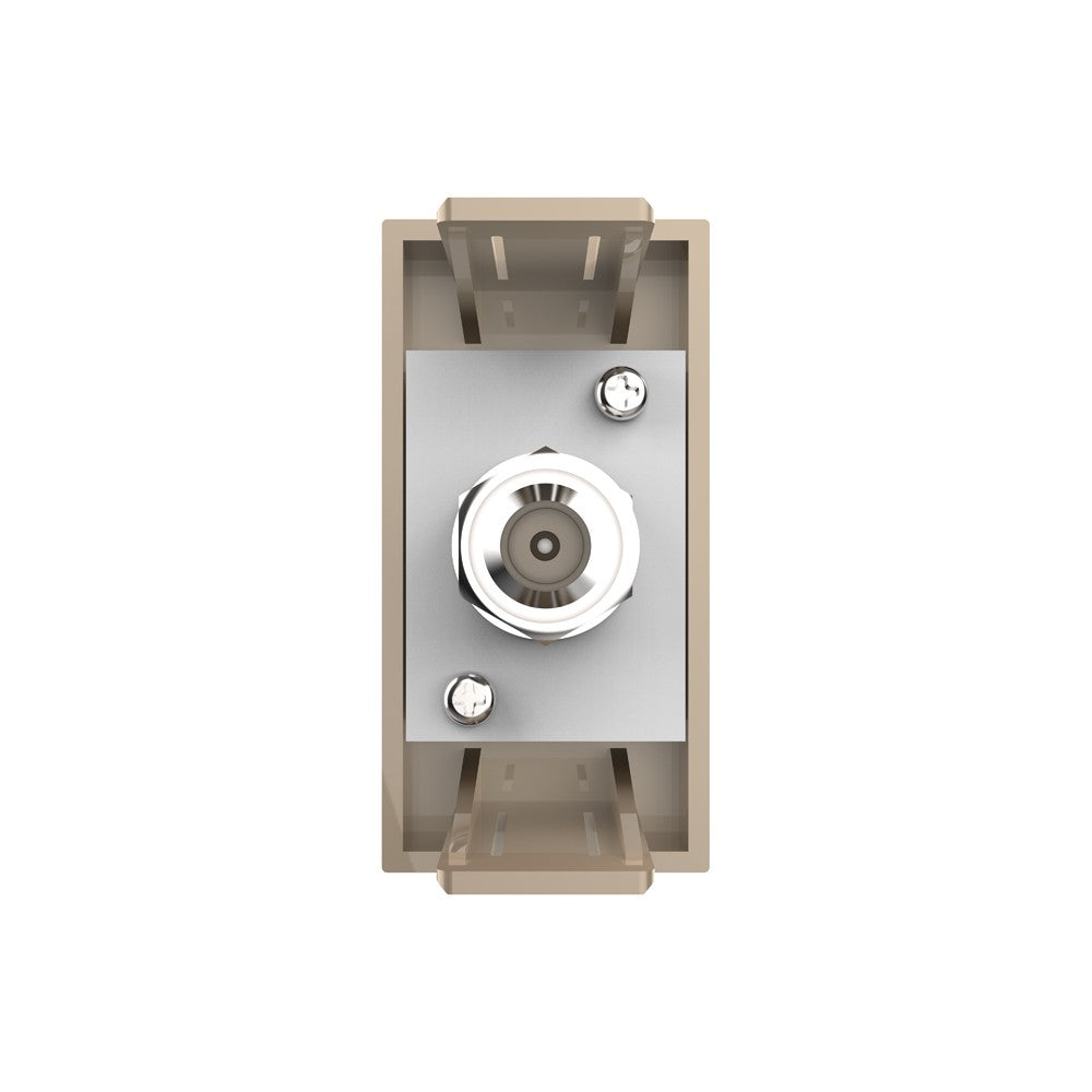 Livolo halbes, goldenes SAT-Modul