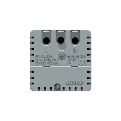Livolo Steckdose mit USB-C für Bodentank